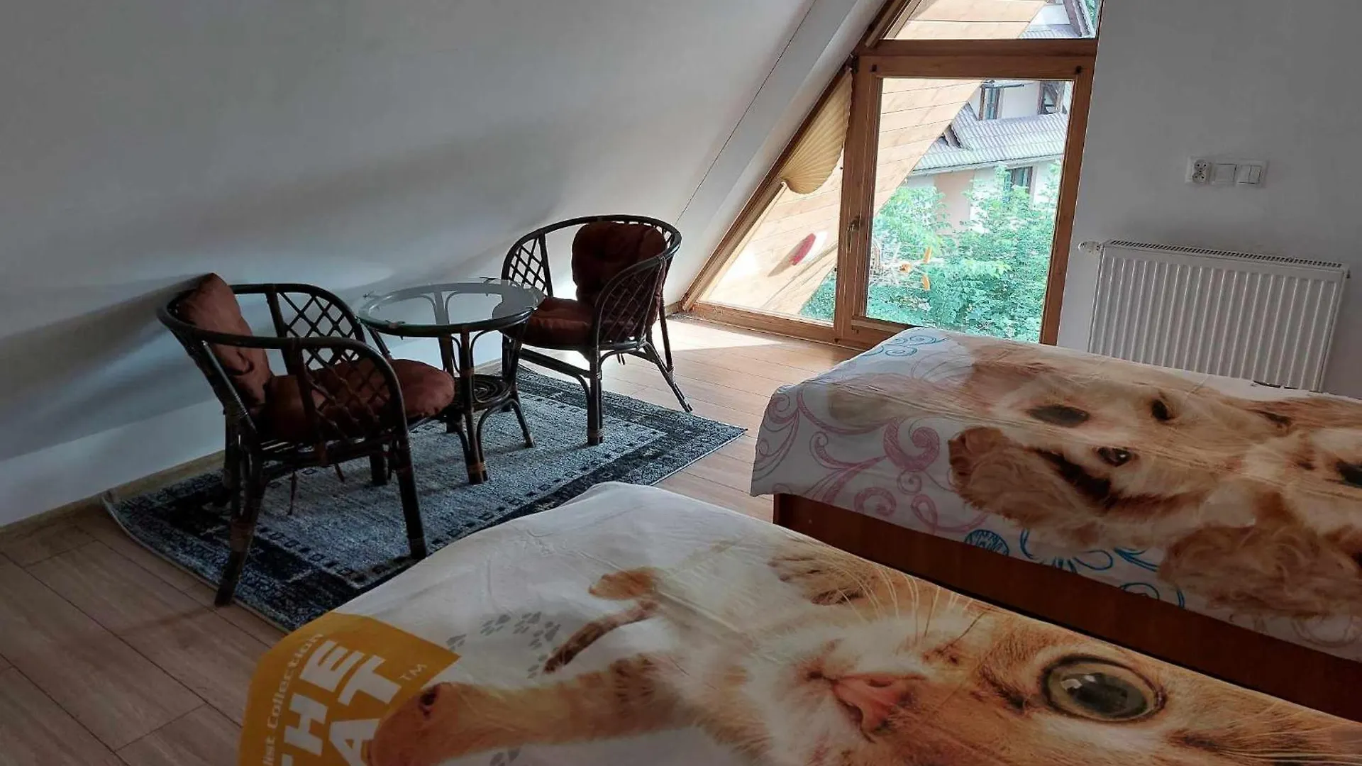 Apartment Apartamenty Cede Zakopane